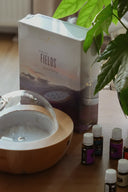 Набір ефірних олій Young Living поруч з аромадифузором і зеленим листям