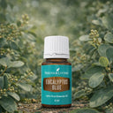 Евкаліпт (Eucalyptus Blue)