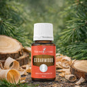Кедр (Cedarwood)