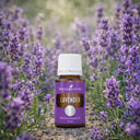 Лаванда (Lavender)