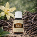 Ваніль (Vanilla)