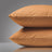"Desert Sun" Pillowcase Set