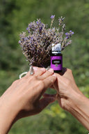 Лаванда (Lavender)